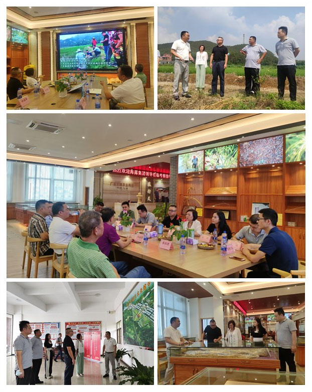 1-210922144FA12 Z6¡¤ÈËÉú¾ÍÊDz©(ÖйúÇø)ÓÐÏÞ¹«Ë¾¹ÙÍø