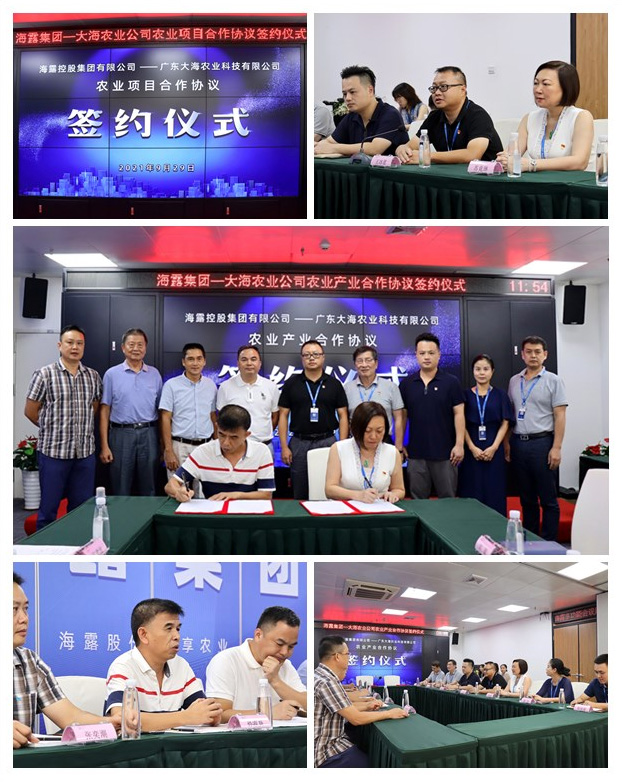 Z6���������ǲ�(�й���)���޹�˾����