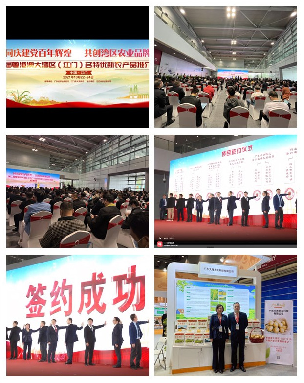 Z6���������ǲ�(�й���)���޹�˾����