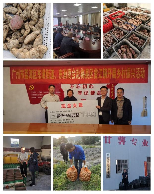 Z6���������ǲ�(�й���)���޹�˾����