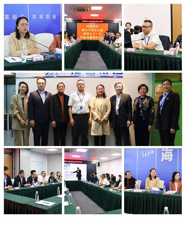 Z6���������ǲ�(�й���)���޹�˾����