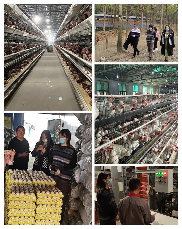 Z6���������ǲ�(�й���)���޹�˾����