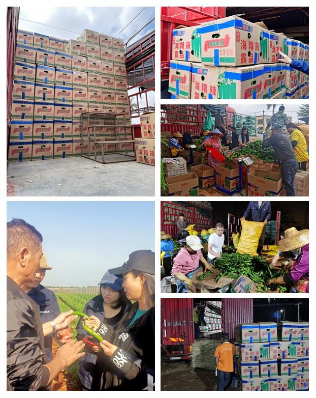 Z6���������ǲ�(�й���)���޹�˾����