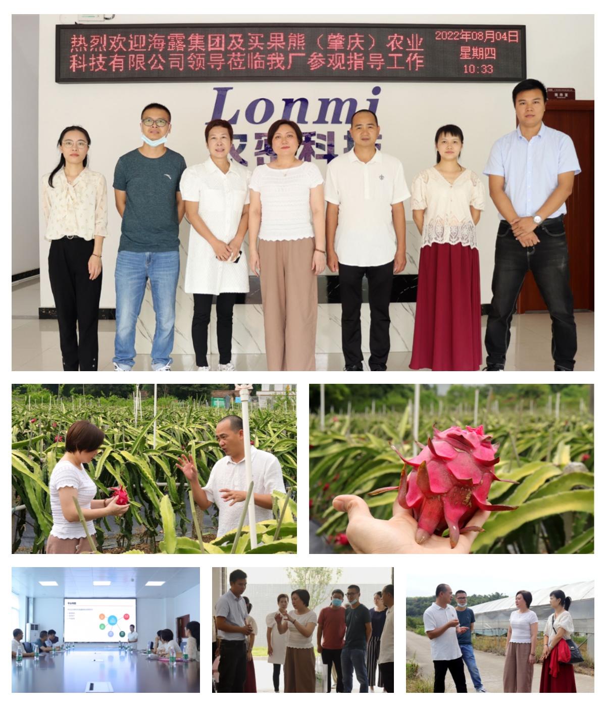 Z6���������ǲ�(�й���)���޹�˾����