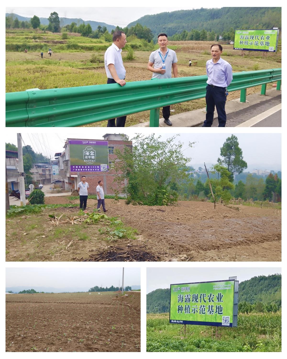 Z6���������ǲ�(�й���)���޹�˾����