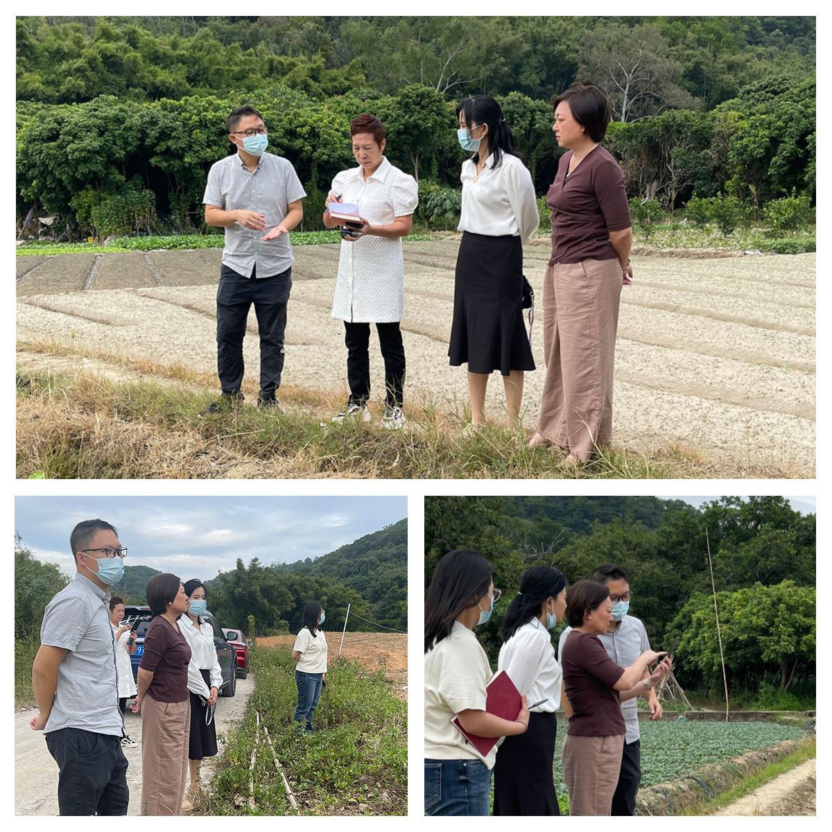 Z6���������ǲ�(�й���)���޹�˾����