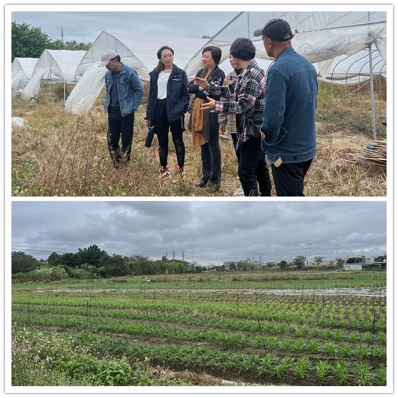 Z6���������ǲ�(�й���)���޹�˾����