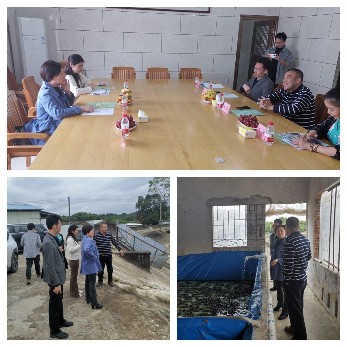 Z6���������ǲ�(�й���)���޹�˾����