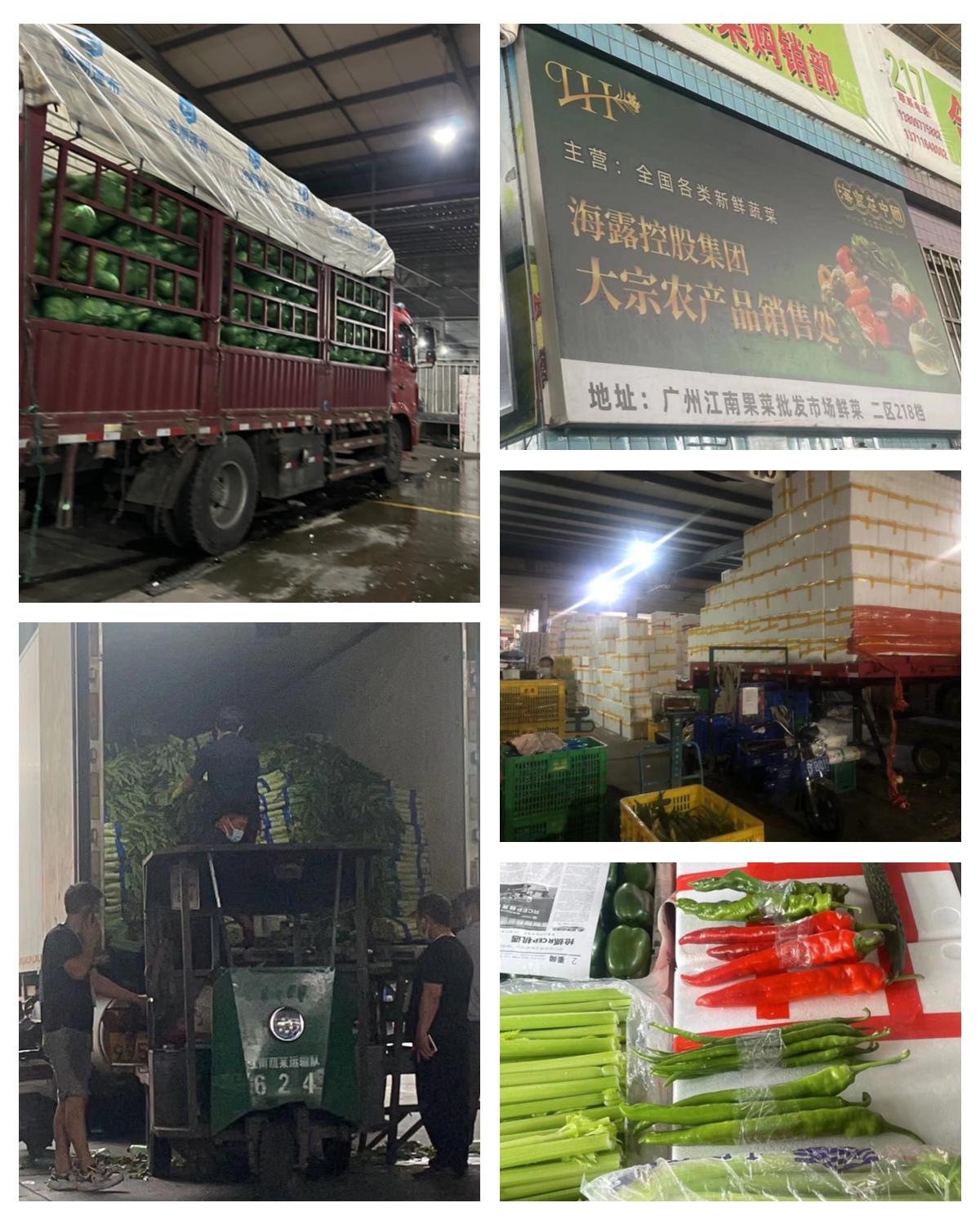 Z6���������ǲ�(�й���)���޹�˾����