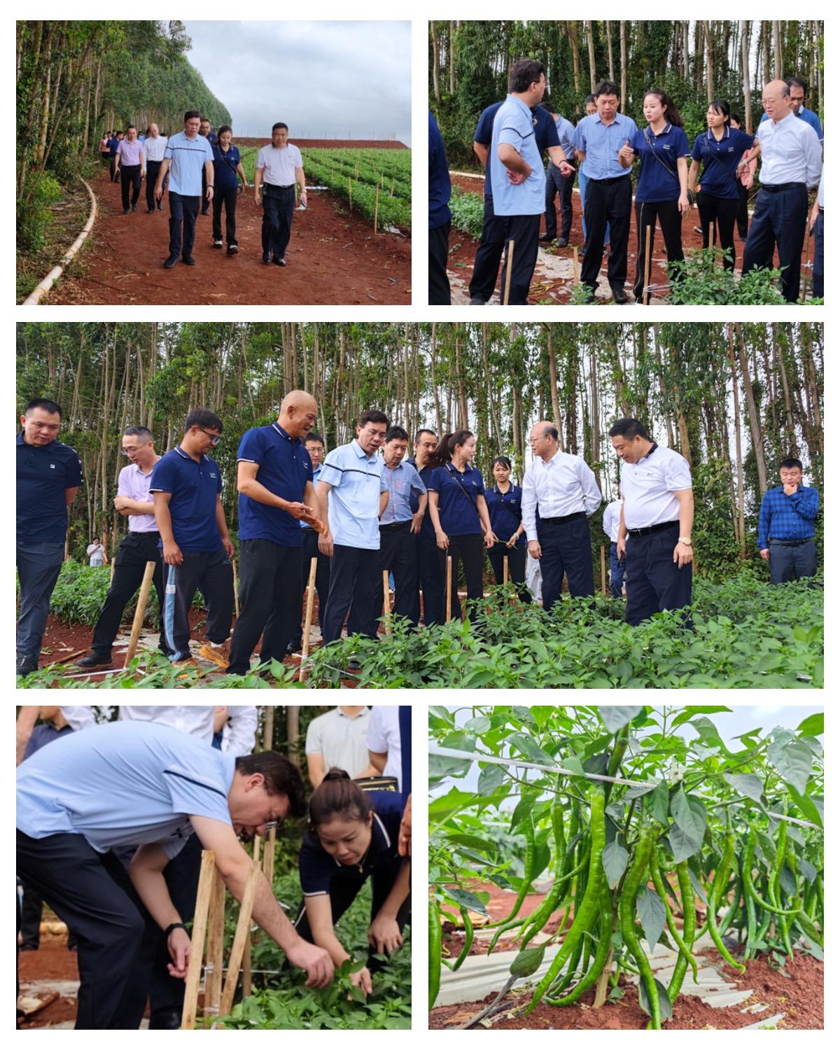 Z6���������ǲ�(�й���)���޹�˾����