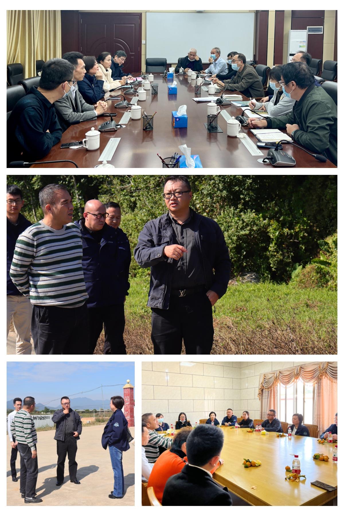 Z6���������ǲ�(�й���)���޹�˾����