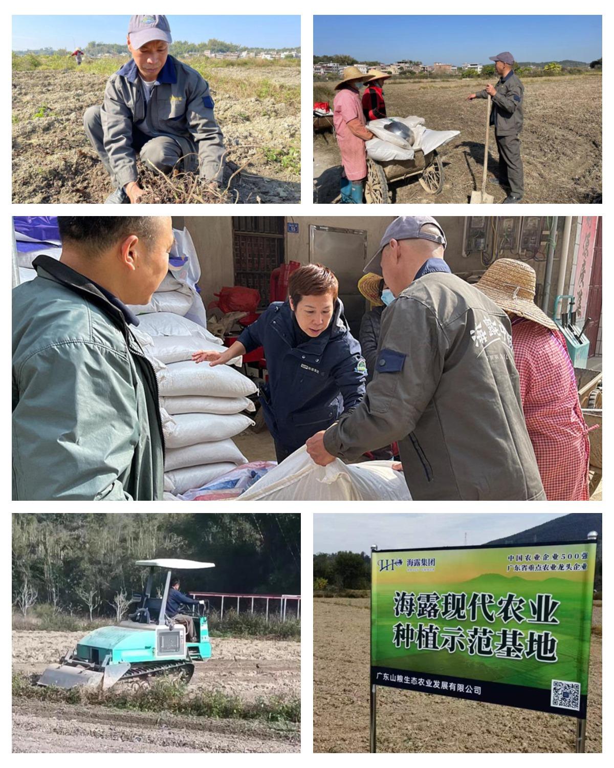 Z6���������ǲ�(�й���)���޹�˾����