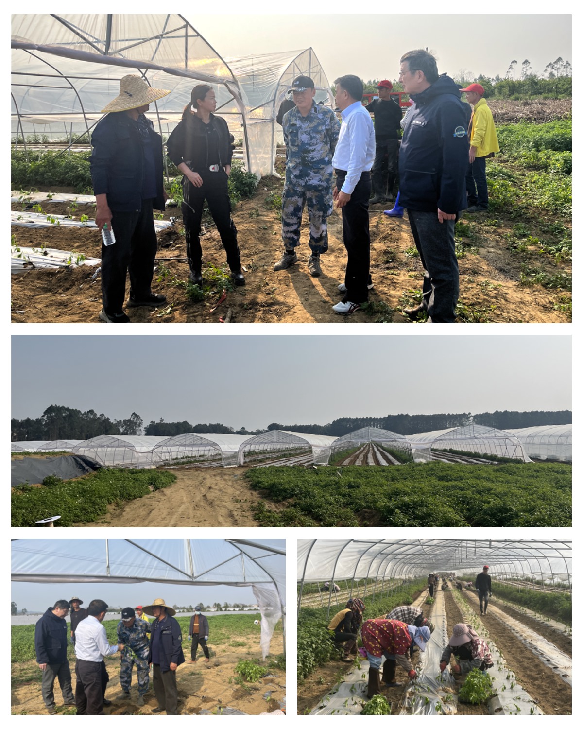 Z6���������ǲ�(�й���)���޹�˾����