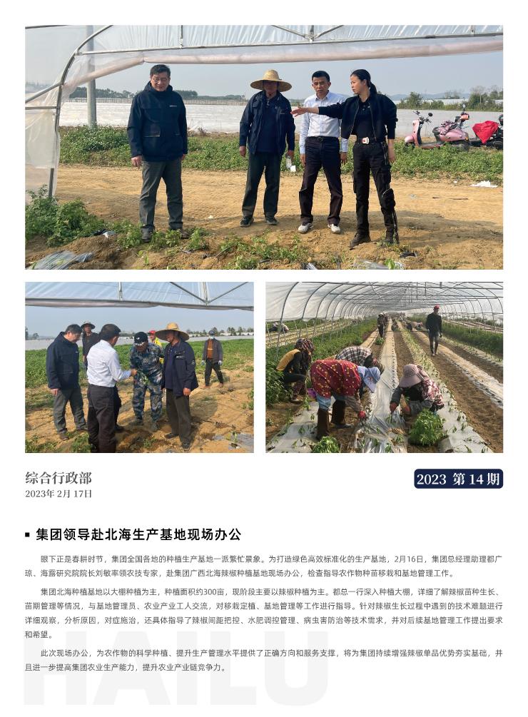 Z6���������ǲ�(�й���)���޹�˾����