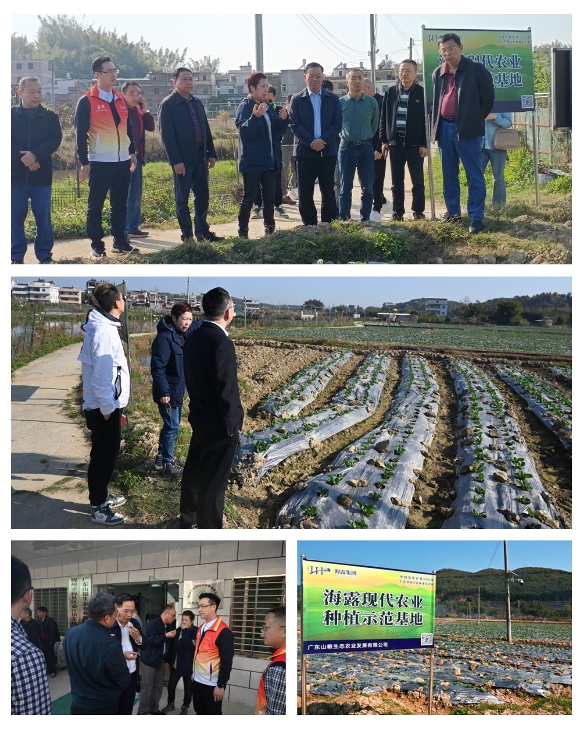 Z6���������ǲ�(�й���)���޹�˾����