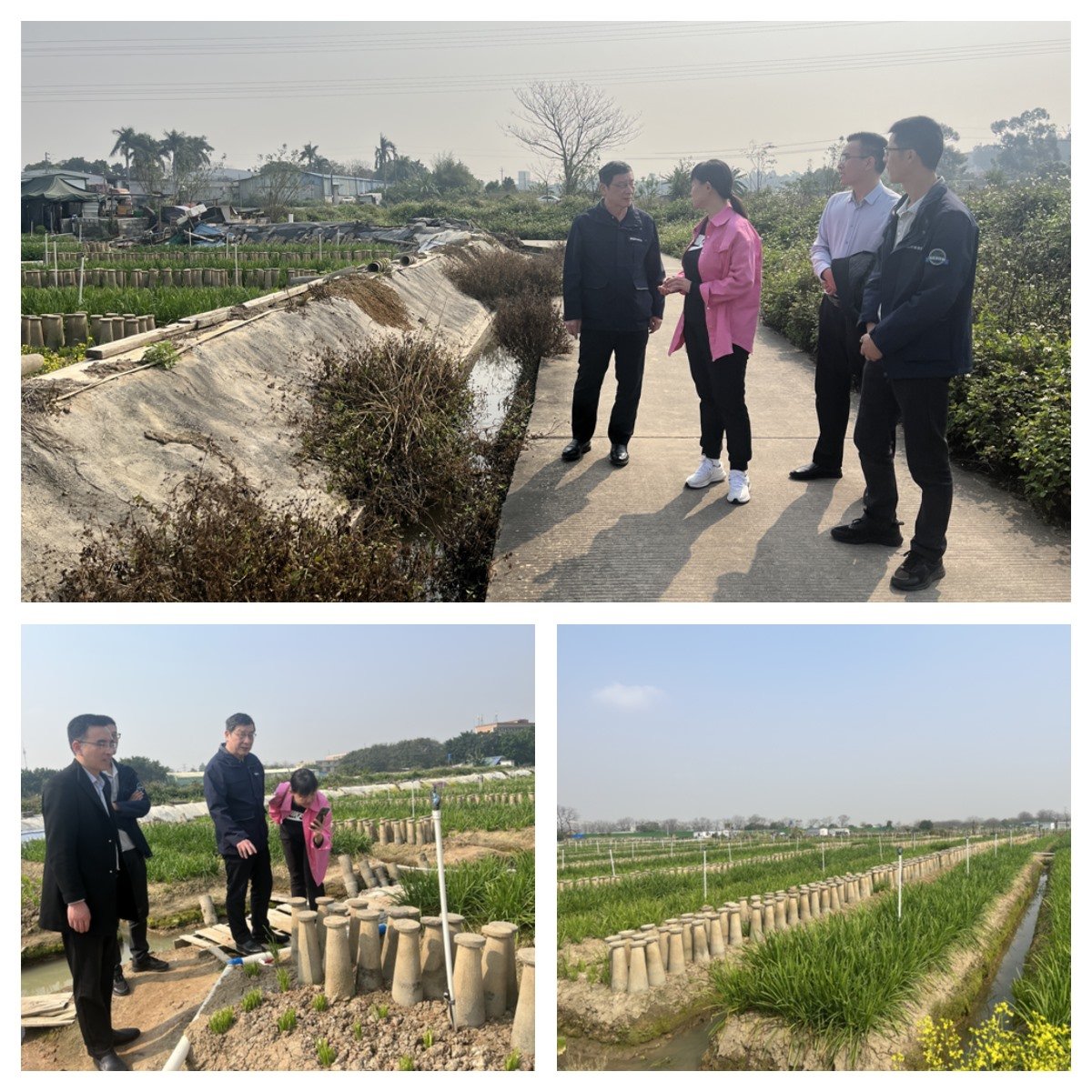 Z6���������ǲ�(�й���)���޹�˾����