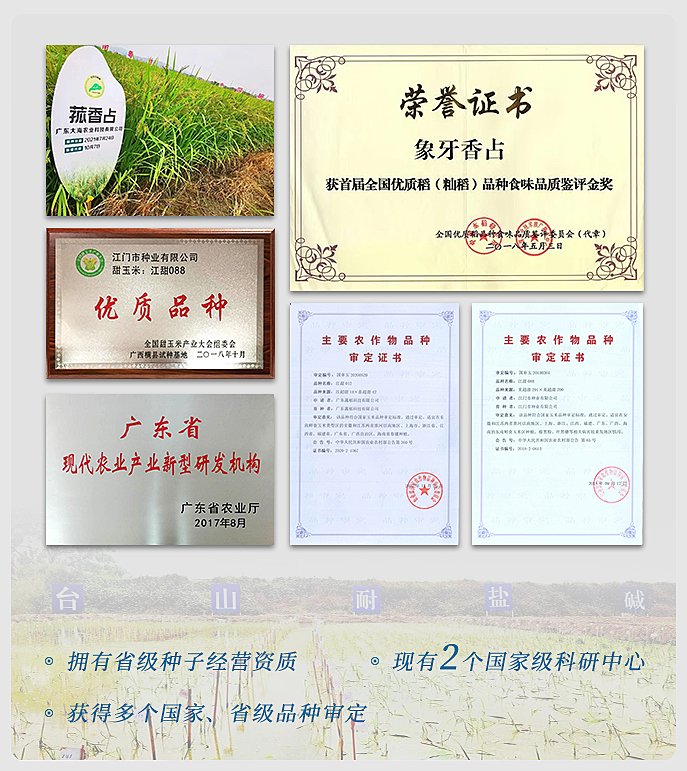 Z6���������ǲ�(�й���)���޹�˾����