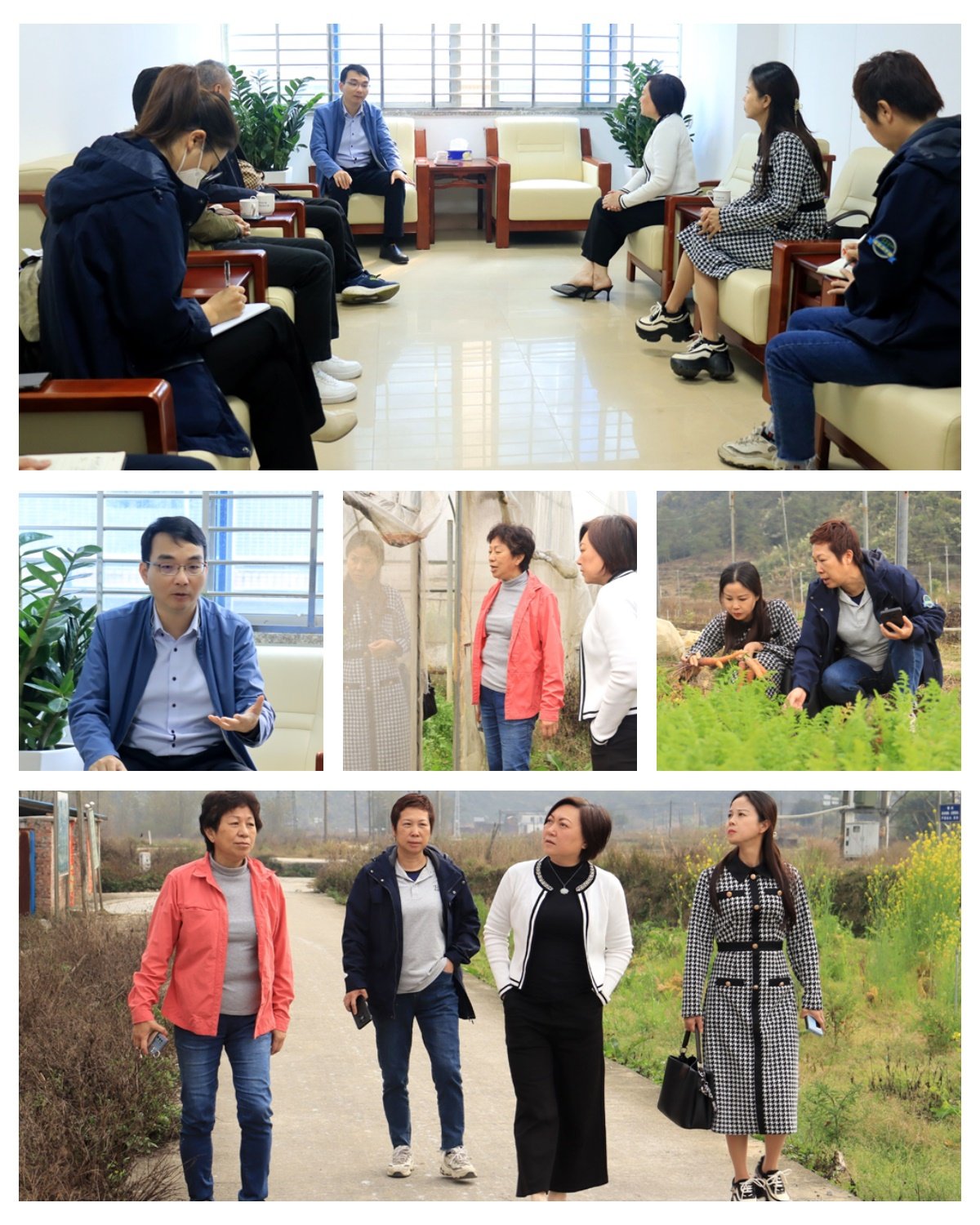 Z6���������ǲ�(�й���)���޹�˾����