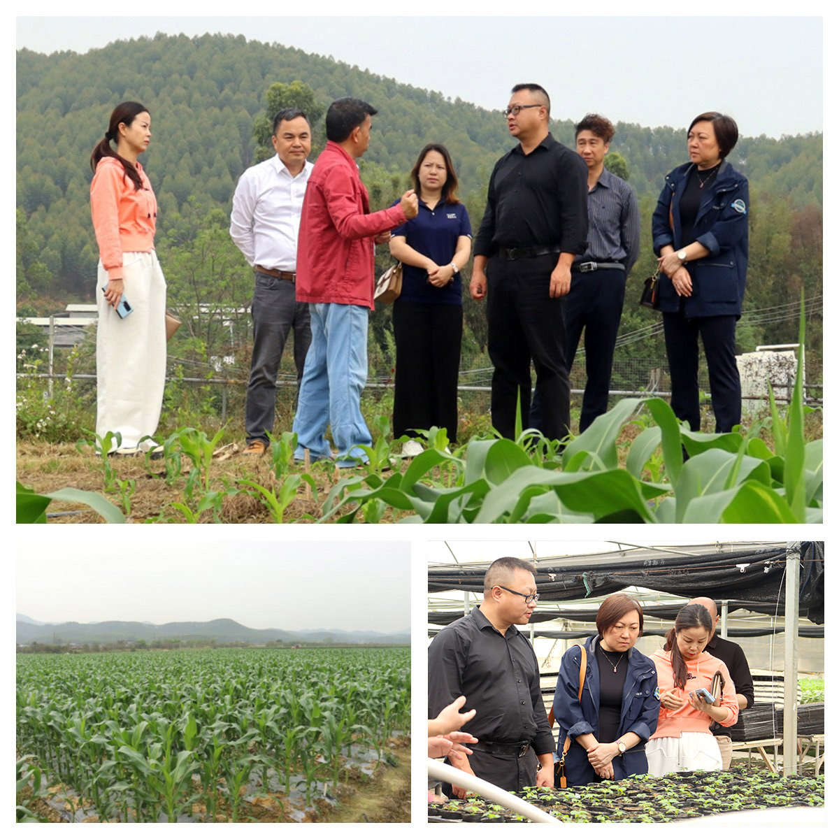 1-2303151SSKX Z6·人生就是博(中国区)有限公司官网