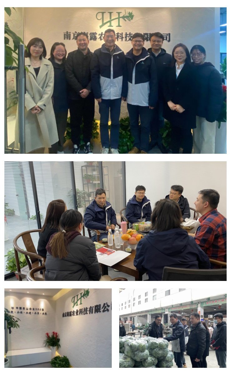 Z6���������ǲ�(�й���)���޹�˾����