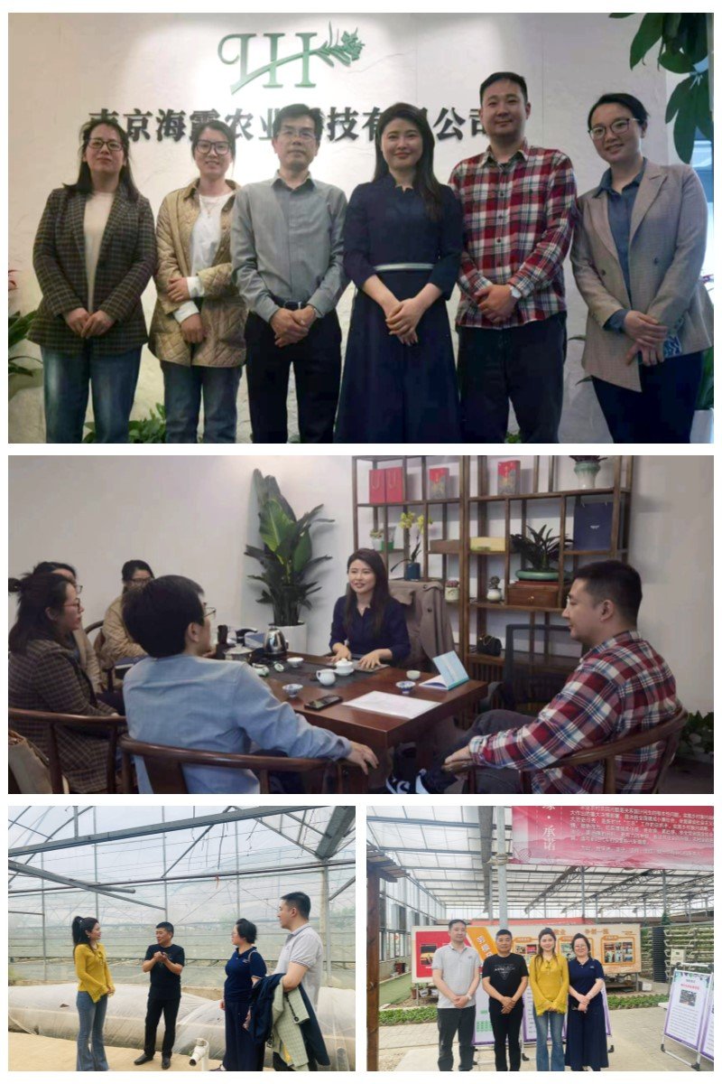 Z6���������ǲ�(�й���)���޹�˾����