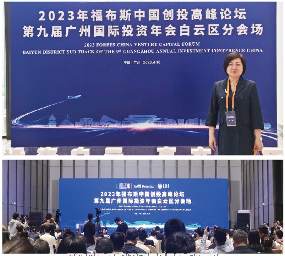 Z6���������ǲ�(�й���)���޹�˾����