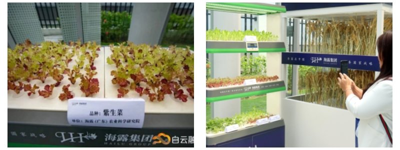 Z6���������ǲ�(�й���)���޹�˾����