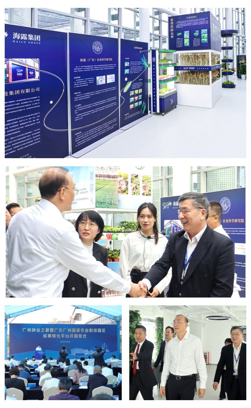 Z6���������ǲ�(�й���)���޹�˾����