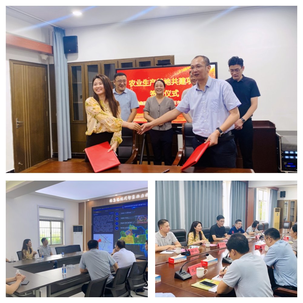 Z6���������ǲ�(�й���)���޹�˾����