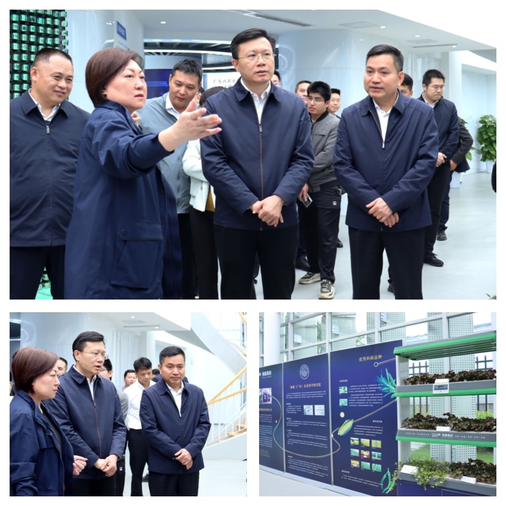 Z6���������ǲ�(�й���)���޹�˾����