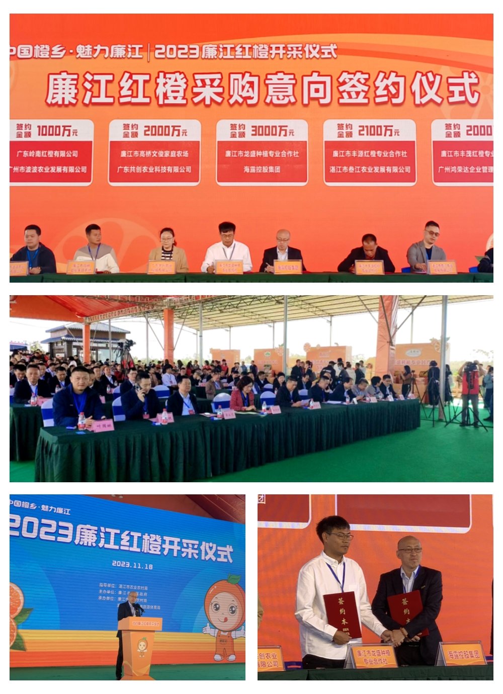 Z6���������ǲ�(�й���)���޹�˾����