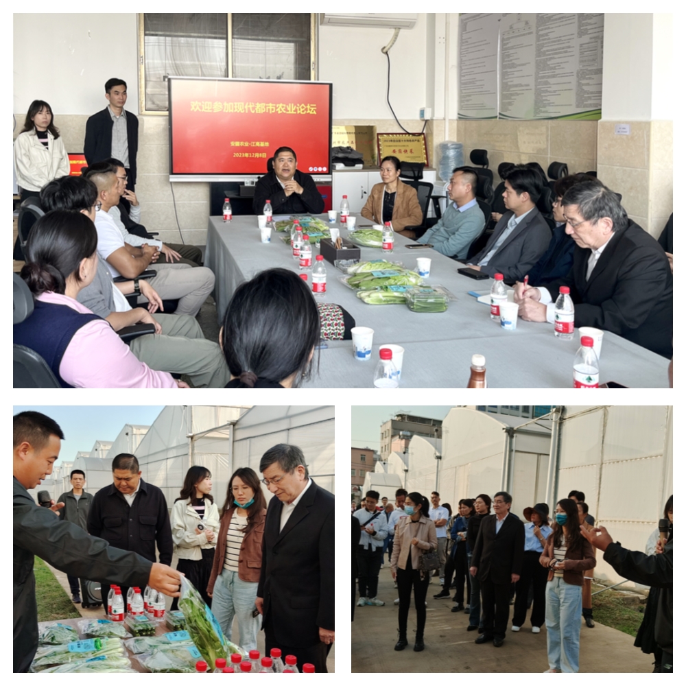 Z6���������ǲ�(�й���)���޹�˾����