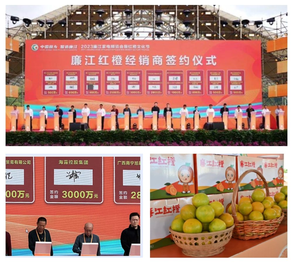 Z6���������ǲ�(�й���)���޹�˾����