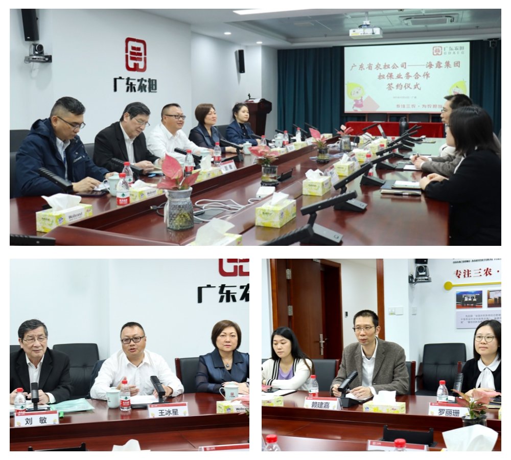 Z6���������ǲ�(�й���)���޹�˾����