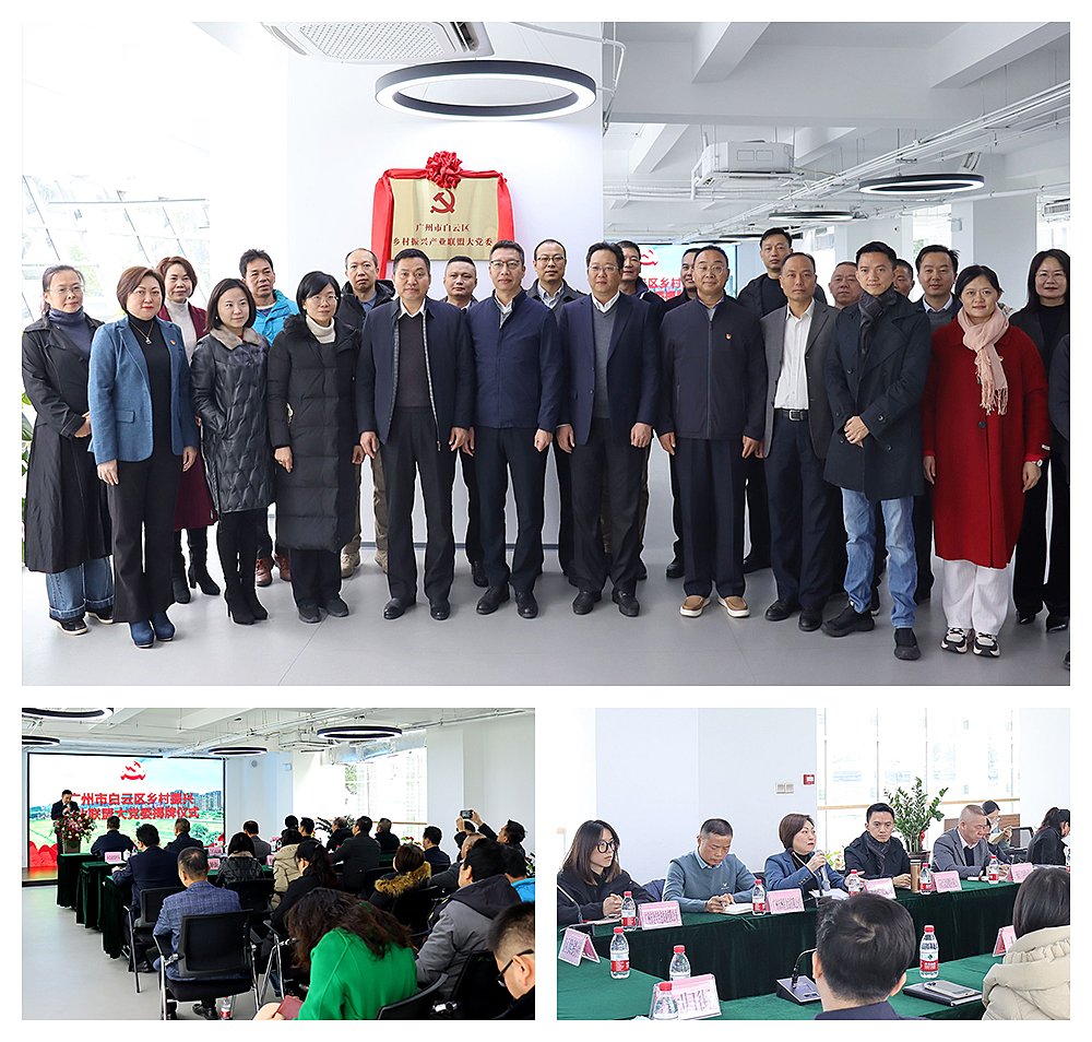 Z6���������ǲ�(�й���)���޹�˾����