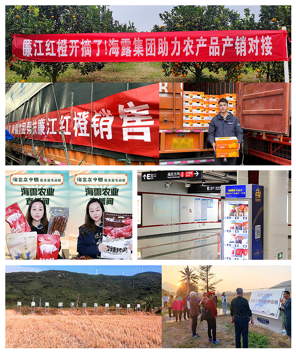 Z6���������ǲ�(�й���)���޹�˾����