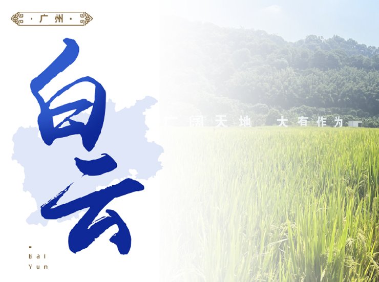 Z6���������ǲ�(�й���)���޹�˾����