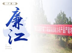 ����-��ȿ�����ʽ������ǩ��300