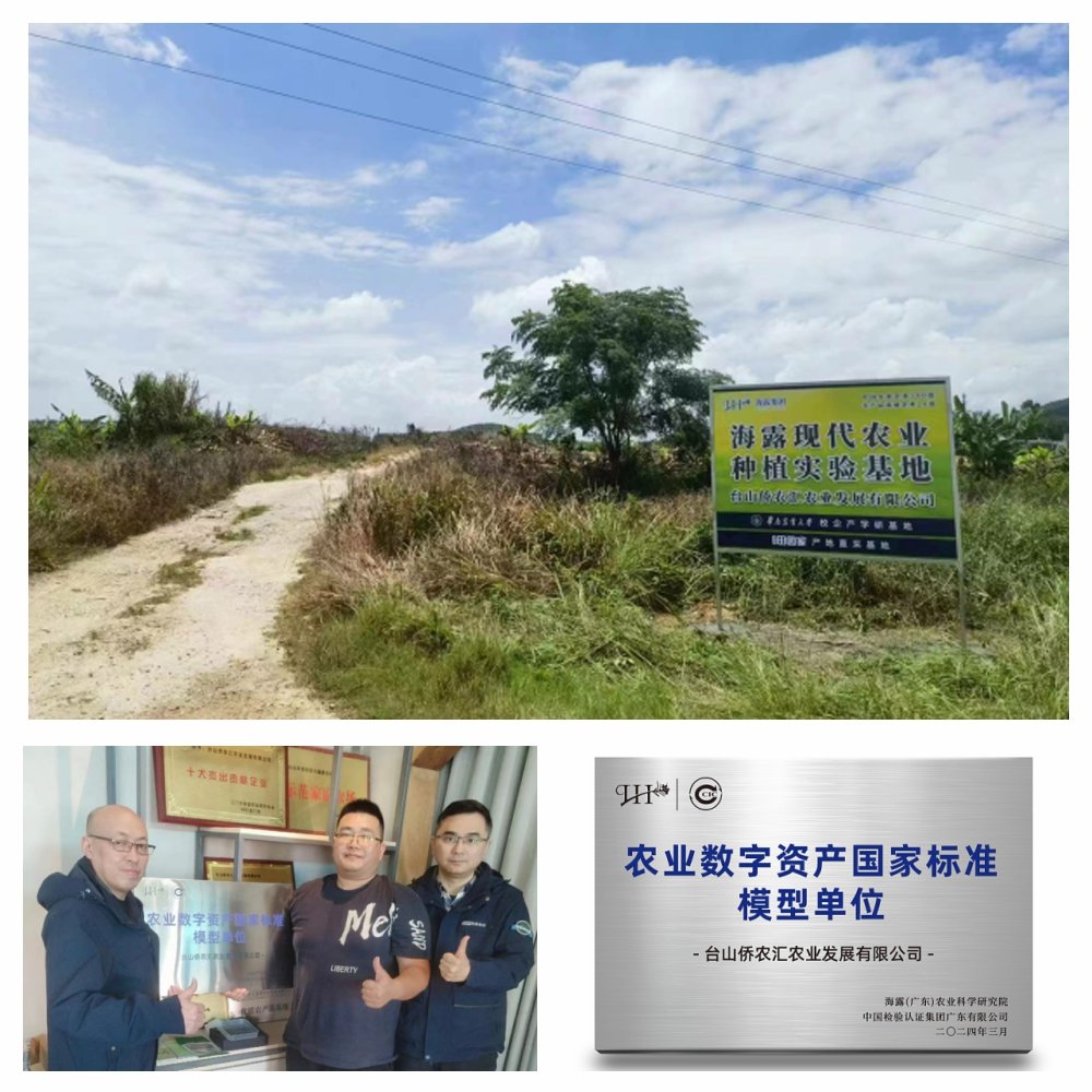 Z6���������ǲ�(�й���)���޹�˾����