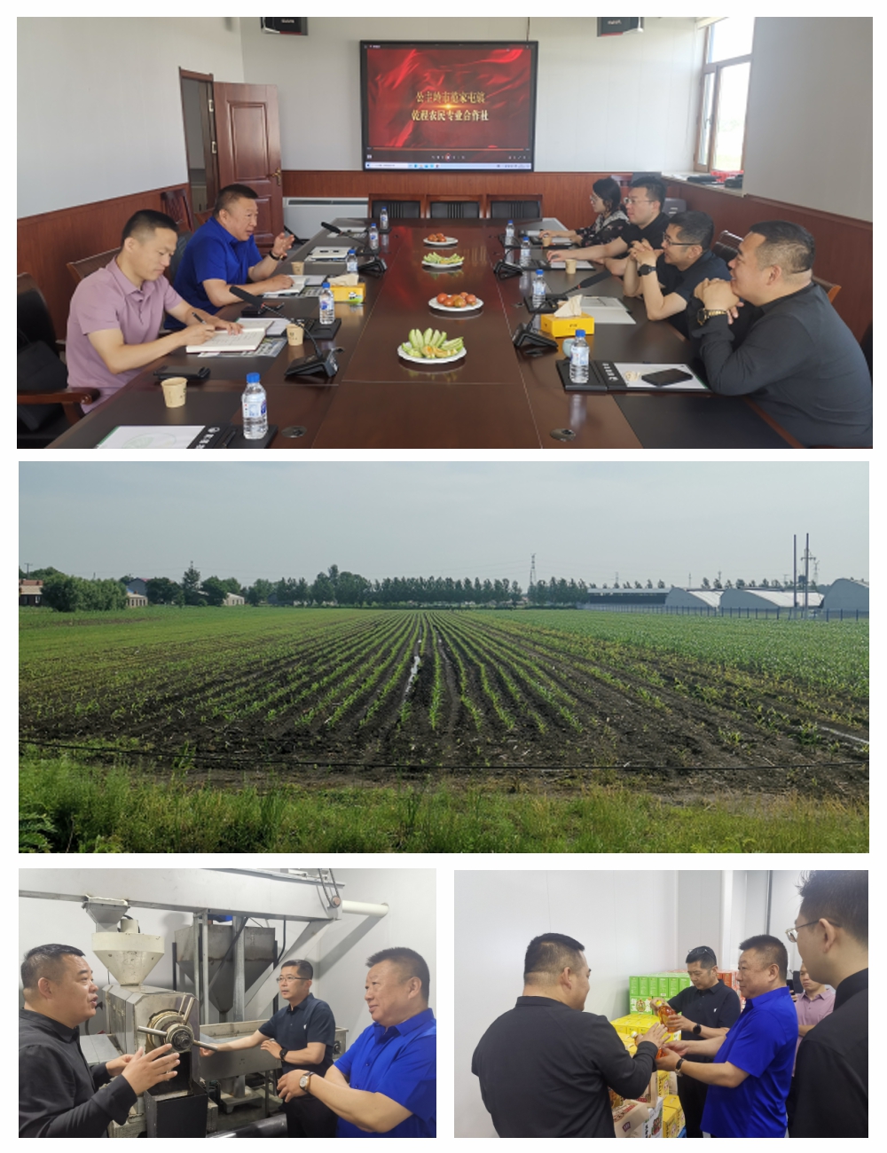 Z6���������ǲ�(�й���)���޹�˾����