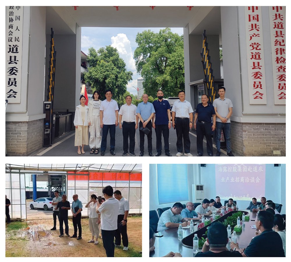 Z6���������ǲ�(�й���)���޹�˾����