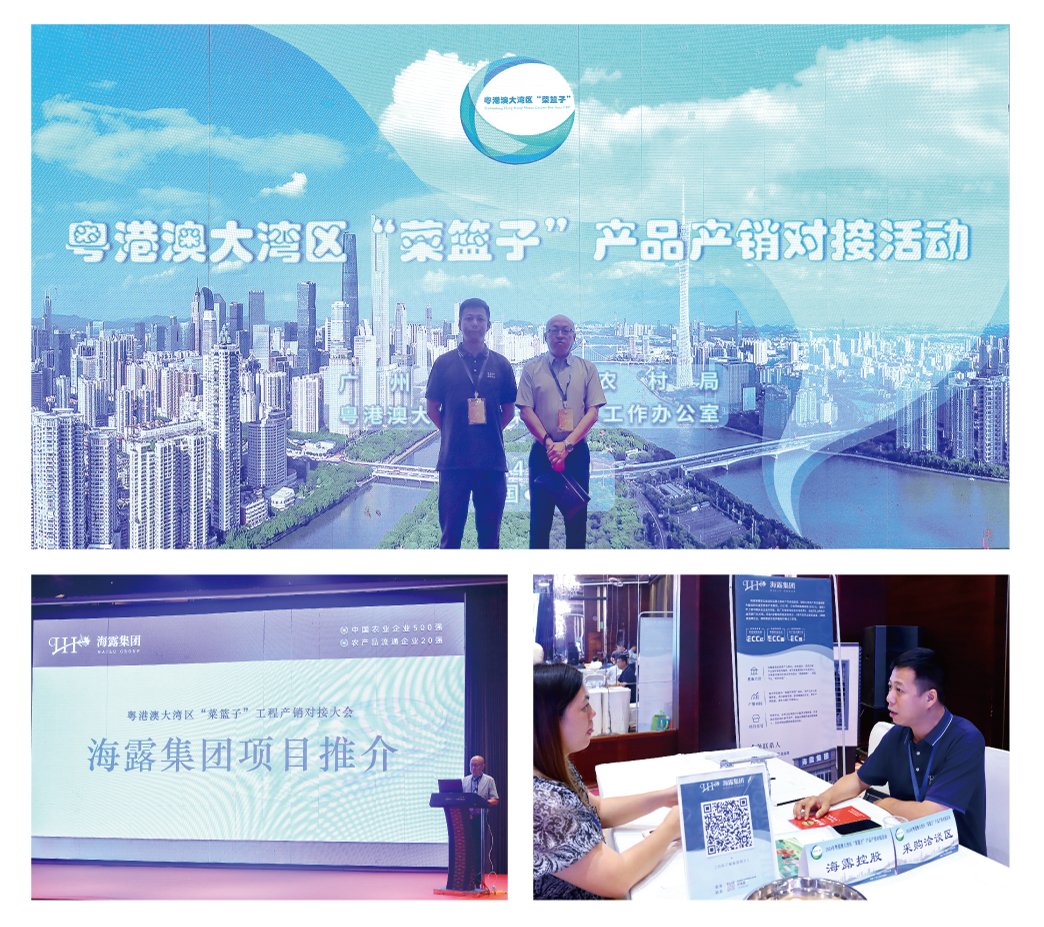 Z6���������ǲ�(�й���)���޹�˾����