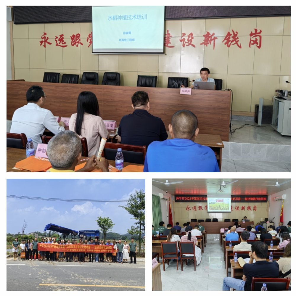 Z6���������ǲ�(�й���)���޹�˾����