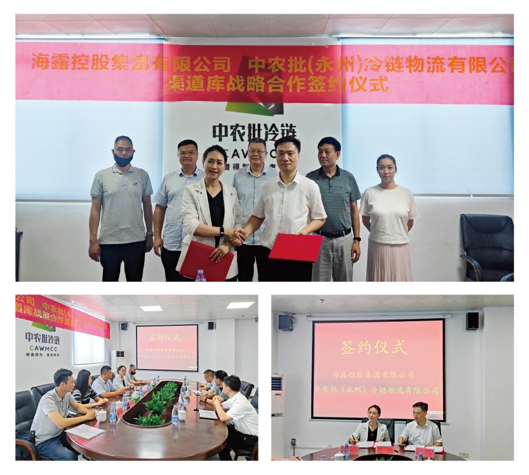 Z6���������ǲ�(�й���)���޹�˾����