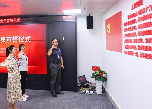 ���ŵ�֧�������µ�Ա�뵳������ʽ