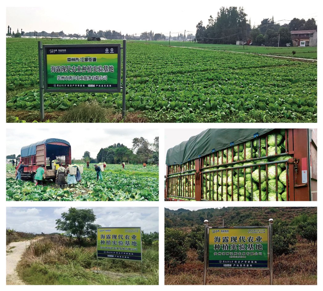 Z6���������ǲ�(�й���)���޹�˾����