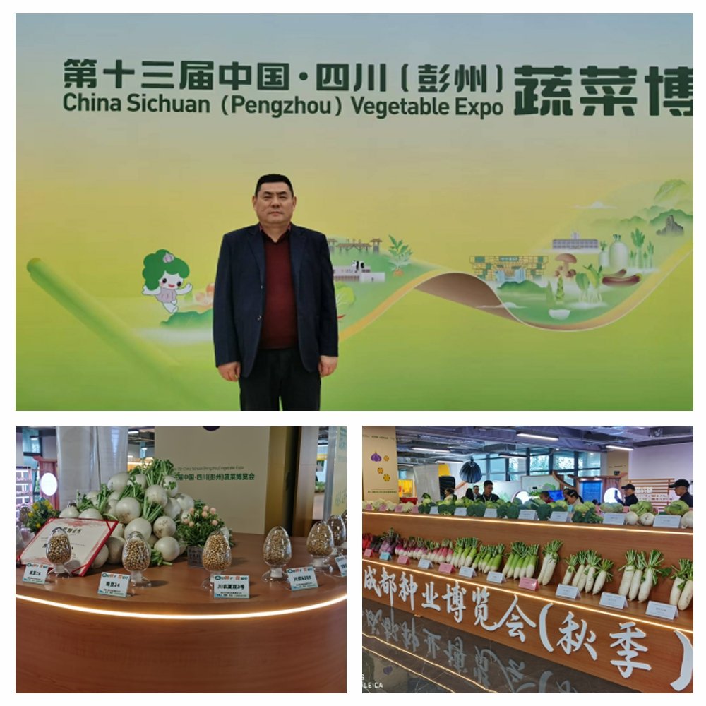 Z6���������ǲ�(�й���)���޹�˾����