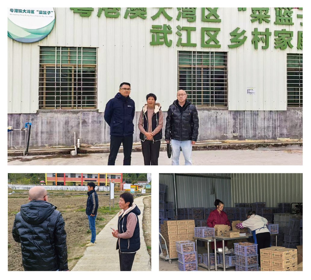 Z6���������ǲ�(�й���)���޹�˾����