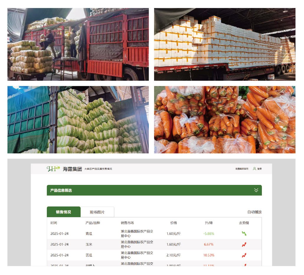 Z6���������ǲ�(�й���)���޹�˾����