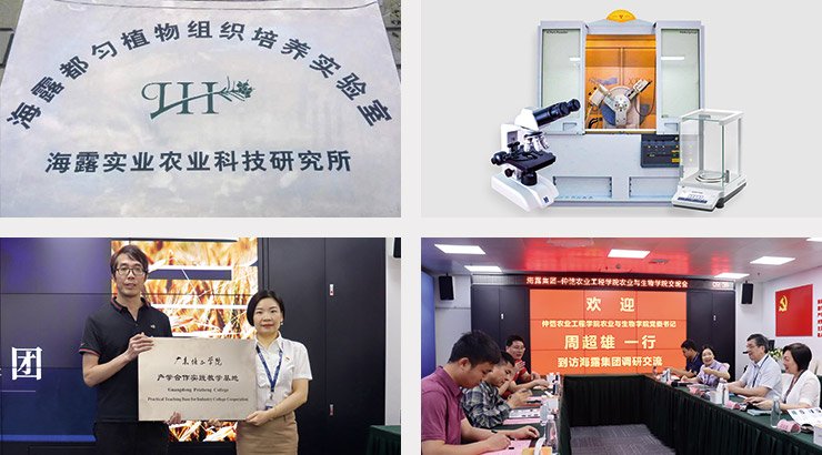 Z6���������ǲ�(�й���)���޹�˾����